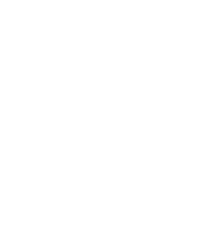 Logo Next